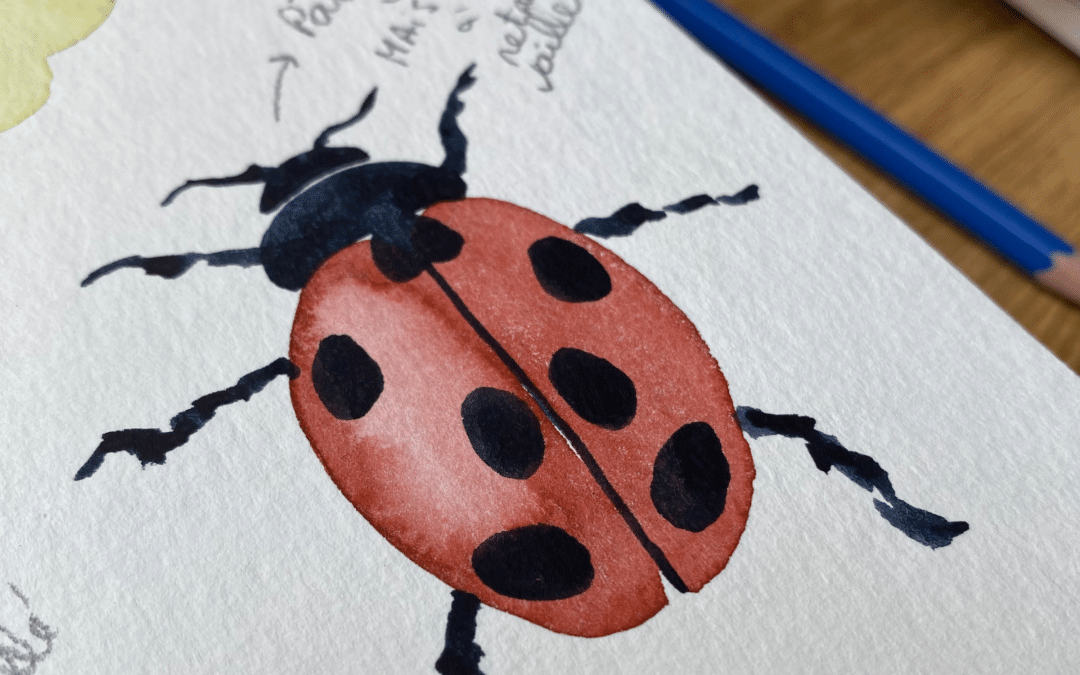 Atelier d’aquarelle en duo enfant/adulte – insectes