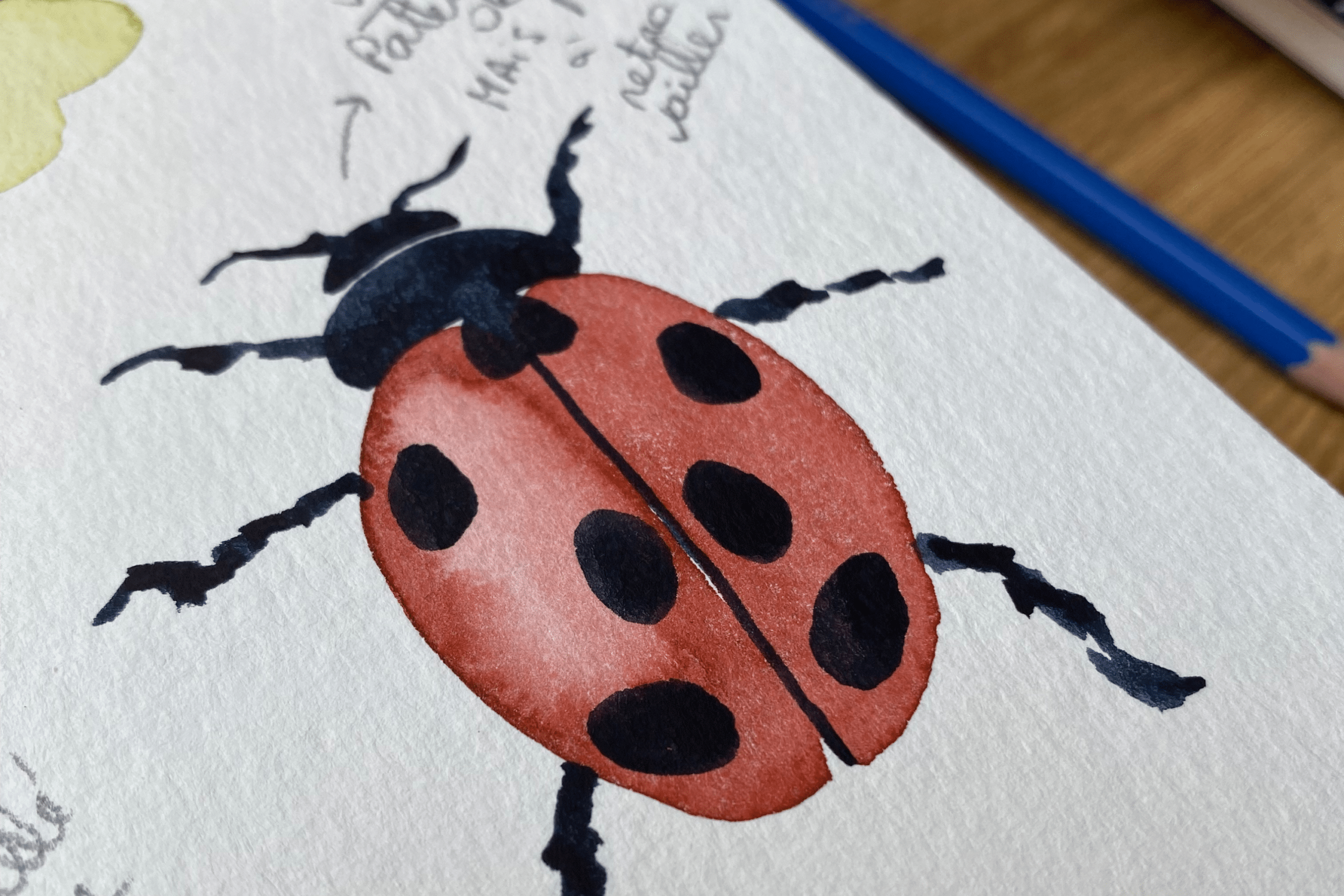 Atelier aquarelle enfant/parent insectes