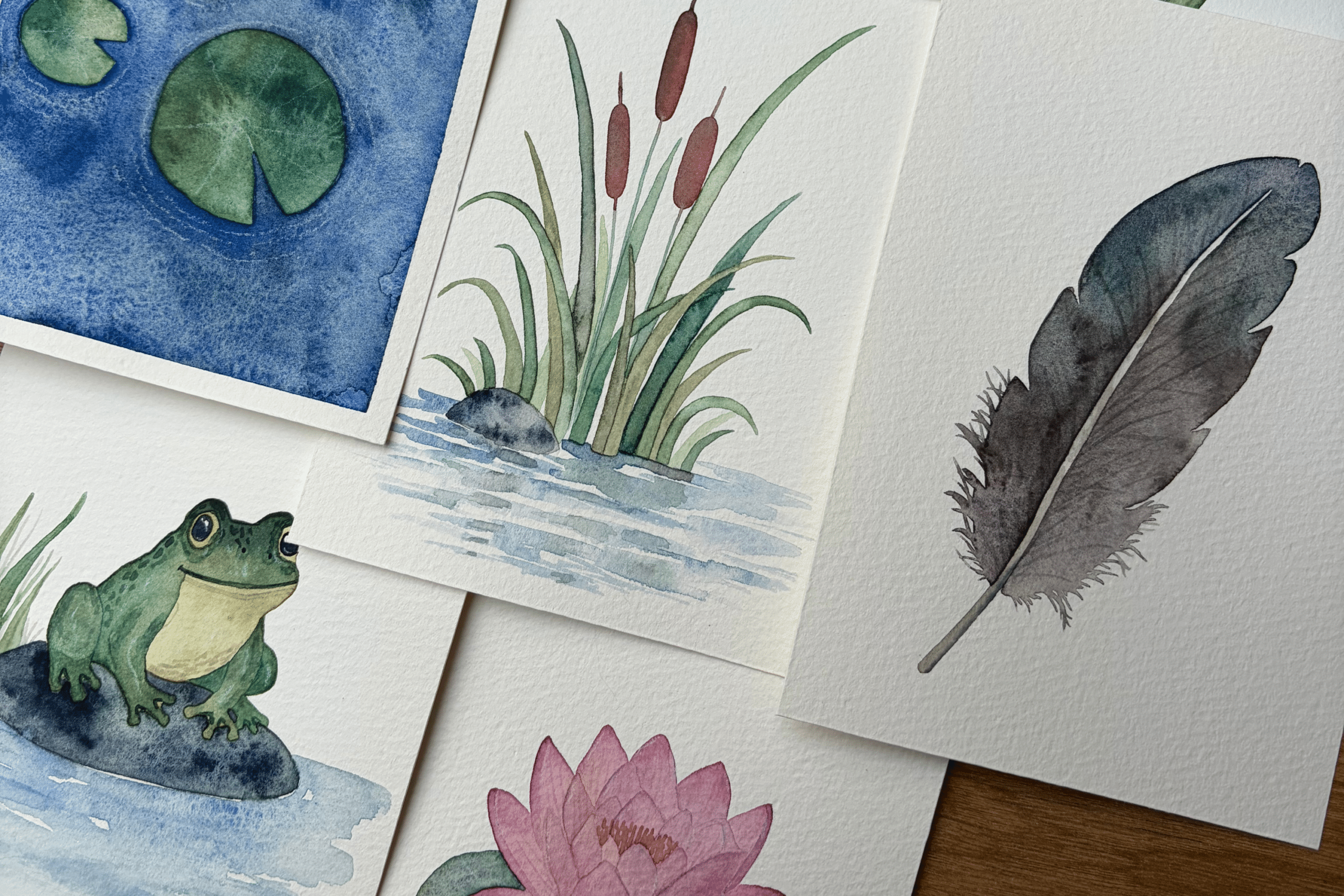 aquarelle grenouille roseau nénuphar